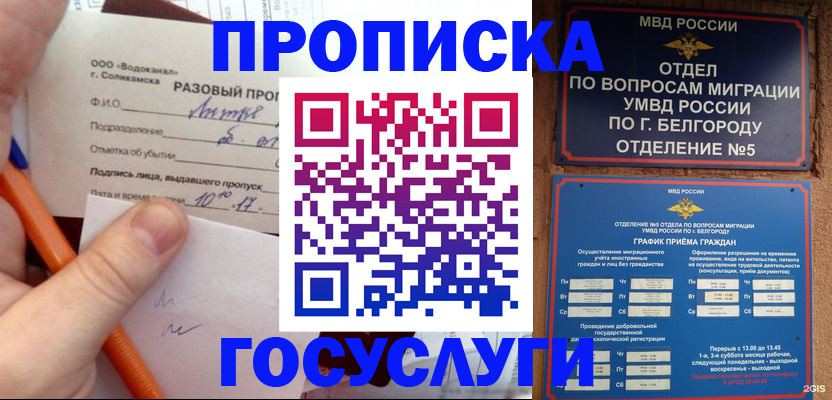 временная регистрация адрес в Мичуринске